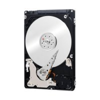  (HDD)   Western Digital Black 320 