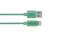   InterStep USB - Lightning 8-Pin IPH5MFIEM 39689