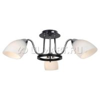   ARTELAMP A7144PL-3BK FIORENTINO