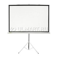  Cactus Triscreen 100" (254 )  