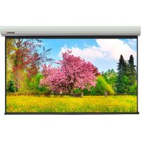    Lumien Master Large Control 399x518  (.  381x508 ) (250")