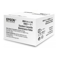   Epson C13S990011