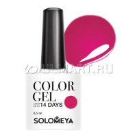 -   Solomeya Color Gel Breton SCG134 , 8,5 