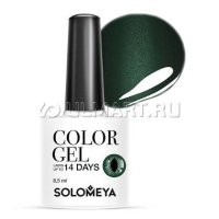 -   Solomeya Cat Eye Gel Cool Green   SCE010, 8,5 