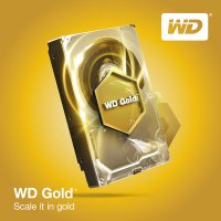   3.5" SATA3 6.0  WD Gold 7200rpm 128mb ( WD6002FRYZ )