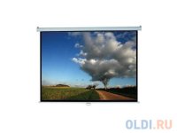   Elite Screen M120XWH2 149 x 265 