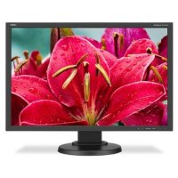  24" NEC E245WMi-BK  PLS 1920x1200 250 cd/m^2 6 ms DVI DisplayPort VGA