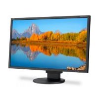  24" Nec EA243WM  TN 1920x1200 1000:1 250cd/m^2 5ms DVI HDMI DP D-Sub USBx4