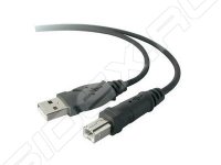 - USB AM - BM 1.8  (Belkin F3U154CP18M) ()