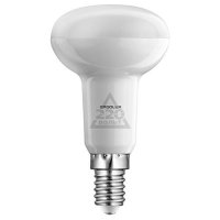   ERGOLUX 12152 LED-R50-5.5W-E14-3K