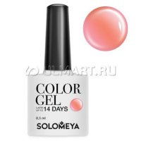 -   Solomeya Color Gel Fudge , 8,5 