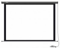  Cactus 152x203  Professional Motoscreen CS-PSPM-152X203 4:3 -  (