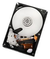   HGST (Hitachi) A7K2000 3.5" 1.0Tb SATA II, 32 Mb, 7200 rpm HUA722010CLA330 (0A39289)