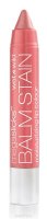 Wet n Wild  -    Mega Slick Balm Stain pinky promise 3 