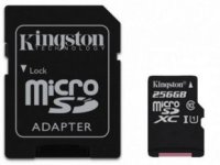   Kingston SDC10G2/256GB