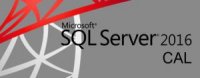   Microsoft SQL CAL 2016 Russian OLP A Gov Device CAL