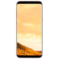  Samsung Galaxy S8+ 64GB   (SM-G955FZDDSER)