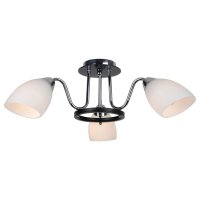   Arte Lamp Florentino A7144PL-3BK