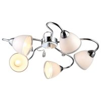   Arte Lamp Caprice A9488PL-5CC