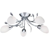   Arte Lamp Gardenia A2766PL-5CC