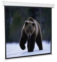 116" (295 )    ScreenMedia Goldview SGM-4304