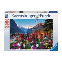  Ravensburger   17061