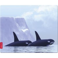    Speed-Link Silk Orca SL-6242-ORCA