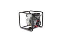  Briggs & Stratton WP2-60