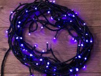  Neon-Night  10 ,  , 100 LED  303-151