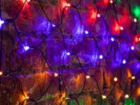  Neon-Night  1x1.5m 160 LED Multicolor 215-119