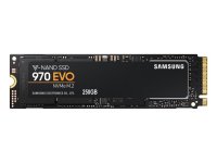  250Gb - Samsung 970 EVO M.2 MZ-V7E250BW