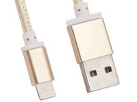  Recci Armor RCL-T100 USB-Lightning 8pin Gold