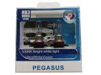  Pegasus HB3-9005 +  T10 12V 65W (4 )