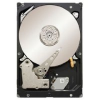   Seagate Constellation ES SATA-III 7200rpm, 3.5" 1Tb , 64Mb, 6Gb/s ST1000NM0011