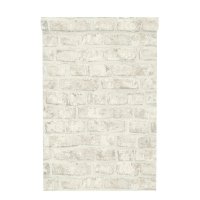  Inspire Brick,    ,  , 0.53x10 