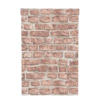  Inspire Brick,    ,  , 0.53x10 