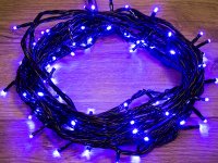  Neon-Night   10m 100 LED Blue 303-133