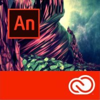  Adobe Animate CC / Flash Professional CC for teams 12 . Level 1 1-9 . Education Name