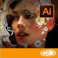 Adobe Illustrator CC for teams  12 . Level 4 100+ .