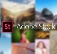  Adobe Stock for teams (Other)  Team 40 assets per month 12 . Level 14 100+ (VIP