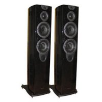   Wharfedale Evolution 2 40 ., , 150 ,  , 1 .