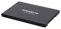  GIGABYTE GP-GSTFS30256GTTD