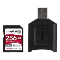   Kingston MLPR2/256GB