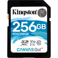   Kingston SDG/256GB