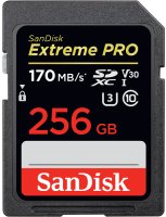   SanDisk SDSDXXY-256G-GN4IN