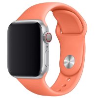  TFN  Apple Watch 38/40 Silicone 