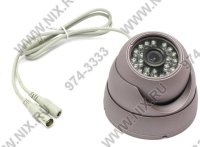    pleervox  Orient (DP-950C) Water /Vandal-Proof Camera (600TVL, Color,PAL,