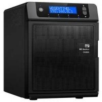 Western Digital Sentinel Original 12Tb   (WDBLGT0120KBK-EESNN )