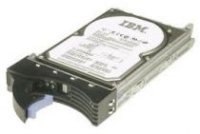 IBM 300GB 2.5 SFF SAS 15K 6Gb hot plug (81Y9891)   for DS3524 (1746A4S, 1746A4D) and EXP