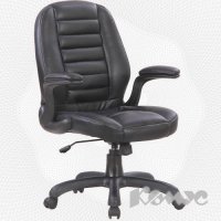  EChair CS-613C-4 ( , )